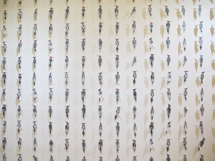 This image has an empty alt attribute; its file name is canceled-edition-wall-detail.jpg